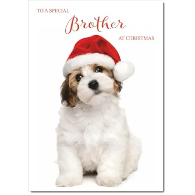 Image of doodlecards Brother Christmas Card Dog and Santa Hat Medium Size for with Plain Envelope