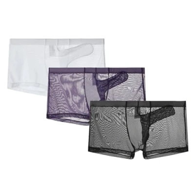 Image of lclvld Men&#039;s Shorts Sexy Boxer Briefs Transparent Underwears Gauze Breathable Elephant Trunk