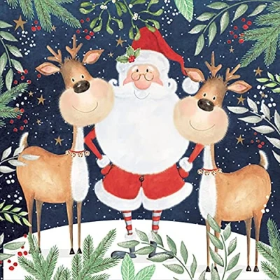 Image of Anniversary House Tiflair Luxury Christmas Napkins, Santa &amp; Funny Reindeer Design, Thick and Strong Paper Lunch Napkins 3 ply, Multi Coloured PJ303550