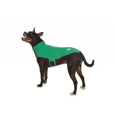 Image of Doodlebone Dog Mac in a Pack (Forest, 3 4)