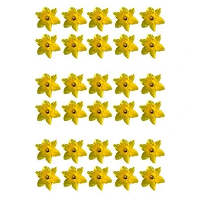 Image of 30 Gorgeous Yellow Daffodils Spring Flower Edible Wafer Paper Cake Toppers Decorations