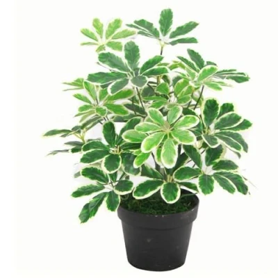 Image of Leaf Artificial Arboricola Evergreen Plant, Dark Green, 55cm