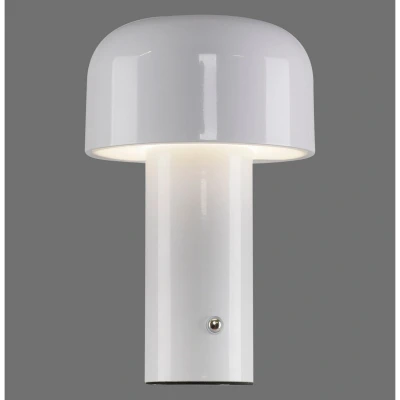 Image of JUST LIGHT. Agnes LED table lamp, white, iron, CCT