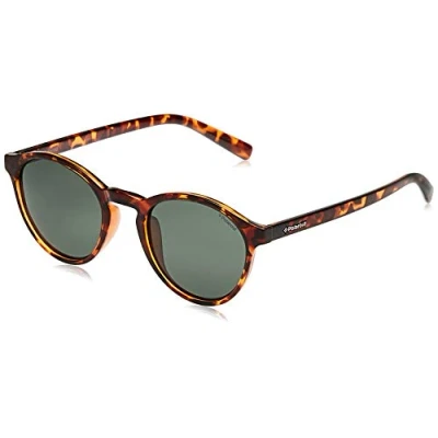 Image of Polaroid PLD 1013/S Havana sunglasses Polarised
