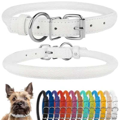 Image of CollarDirect Rolled Leather Dog Collar, Soft Padded Round Puppy Handmade Genuine Collar Small Large Cat Collars Black Pink Red Purple Blue (Fits 9&quot; 12&quot; Neck, White)