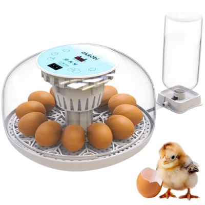 Image of Okkobi M12 Egg Incubator with Automatic Turning and Humidity Control 12/24 Eggs, 360 View, Easy to Use Clean Incubators for Hatching Eggs Incubadora de Huevos Gallina