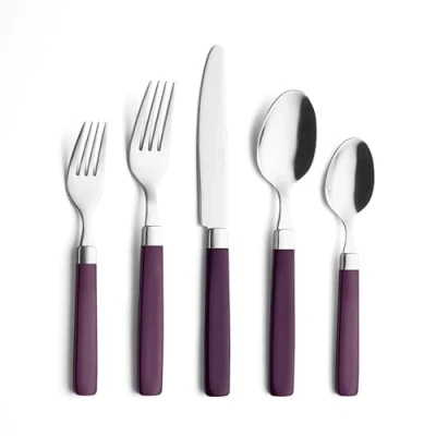 Image of ANNOVA 20 Pieces Stainless Steel Flatware/Cutlery Set Color Handles 4 x Dinner Forks, Salad Table Knives, Tablespoons, Teaspoons Service for (Purple, Pieces)