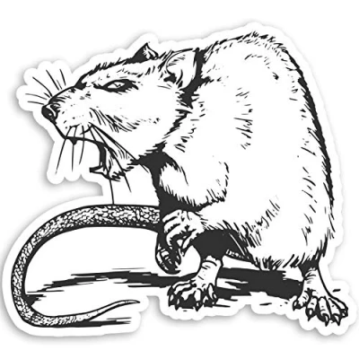 Image of 2 x 10cm Angry Rat Vinyl Stickers Rodent Evil Rats Scary Laptop Sticker #20975 (10cm Wide)
