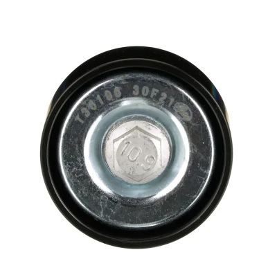 Image of 504065878 Idler Pulley GATES T36196 Micro V ESTART