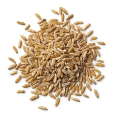 Image of Organic Kamut Grain 1kg (BWFO)