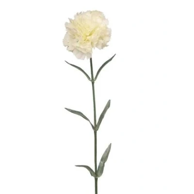 Image of Floralsilk Artificial Single Carnation 59cm Cream
