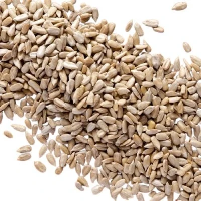 Image of Premium Sunflower Hearts for Wild Birds No Mess, High Energy Bird Food 20Kg Baboo Store