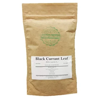 Image of Herba Organica Black Currant Leaf Ribes nigrum L Blackcurrant (100g)