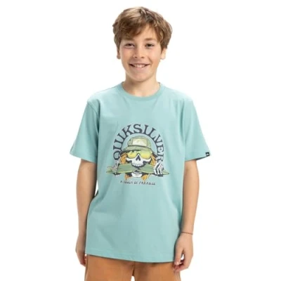 Image of Quiksilver Short Sleeved T Shirt EV Skull Feast SS YTH Youth Blue 16