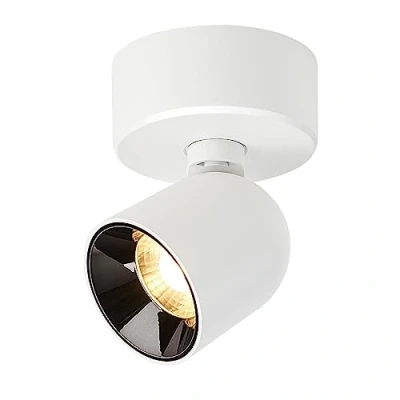 Image of Budbuddy 12W LED Ceiling Spotlight Rotatable Swivel Wall Spots White Light Modern Indoor Lights for Corridor Living Room Office Shop and More 3000K