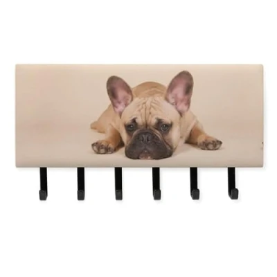 Image of Cute French Bulldog Dog Key Holder for Wall Decorative Hanger Hooks Mounted Home Office