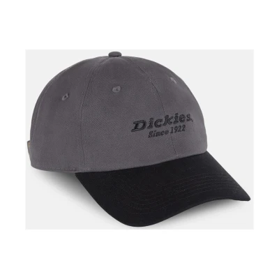 Image of Dickies, Unisex, TWILL DAD HAT, GRAPHITE, OS