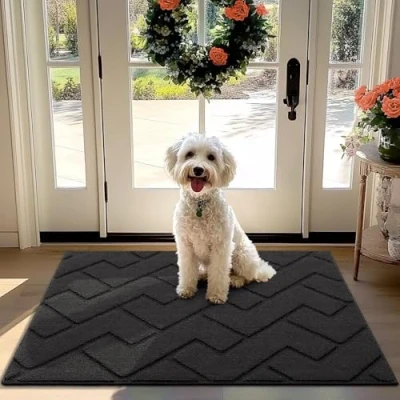 Image of Biscpro Door Mat 80x120 cm, Indoor Doormat Washable, Dirt Trapper Non slip, Absorbent Inside Entrance Rug Floor for Entryway, Patio, Garden, laundry Room,Pets Dark Grey