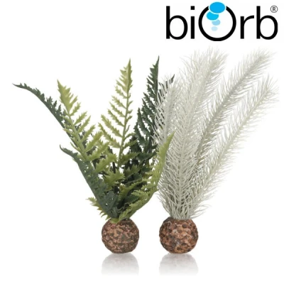 Image of biOrb fern grey/green S