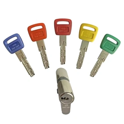 Image of Bricard 16100 Olympia Lock Cylinder, Silver, 30+30