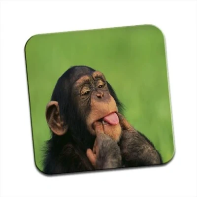 Image of Chimpanzee Sticking Tongue Out Single Coaster