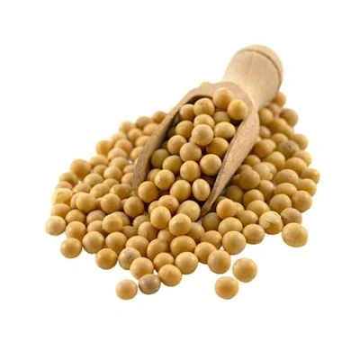 Image of Sussex Wholefoods Organic SOYA Beans 1kg High Protein Superfood for Cooking &amp; Snacks!