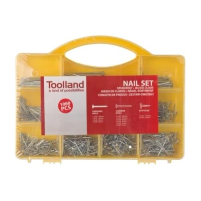 Image of TOOLLAND HAS13 Nail Assortment, 1060 Pieces, Multicoloured, 16 x 21 3 cm