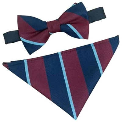 Image of Men&#039;s Royal Air Force RAF Regimental Bow Tie &amp; Hanky Set