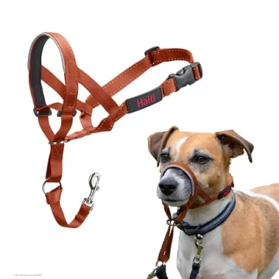 Image of HALTI Headcollar To Stop Your Dog Pulling on the Lead. Adjustable, Reflective and Lightweight, with Padded Nose Band. Training Anti Pull Collar for Small Dogs (Size 1, Burnt Orange)