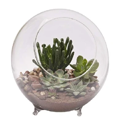 Image of Panacea Large Glass Terrarium Indoor Planter with Feet, 10&quot; / 25cm Dia 82145
