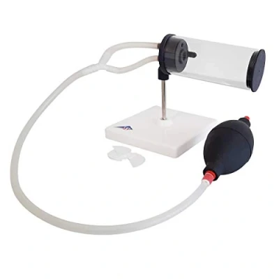 Image of 3B Scientific T6000 Smoking Model 3 in 1