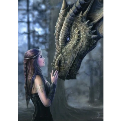 Image of Once Upon a Time greetings card from original Anne Stokes painting