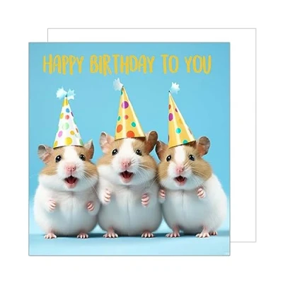 Image of Edition Seidel Premium Square Birthday Card with Envelope Greeting Happy For Him or Her Friend Sister Brother Daughter Girl Boy Son Children Kids Teens (GQ123)