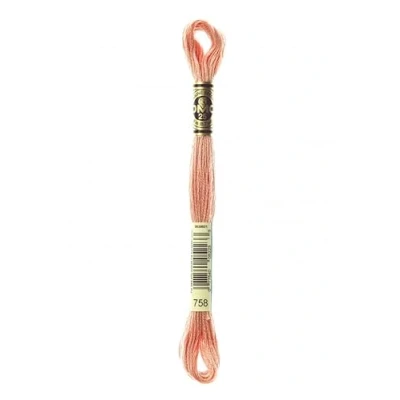 Image of DMC Stranded Cotton Embroidery Thread 758 per Skein