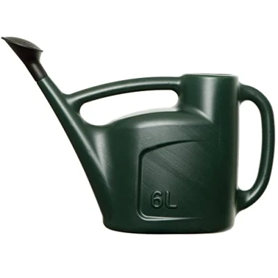 Image of 6L Watering Can for Garden Plants Indoor &amp; Outdoor with Detachable Sprinkler Rose Lightweight Water Green