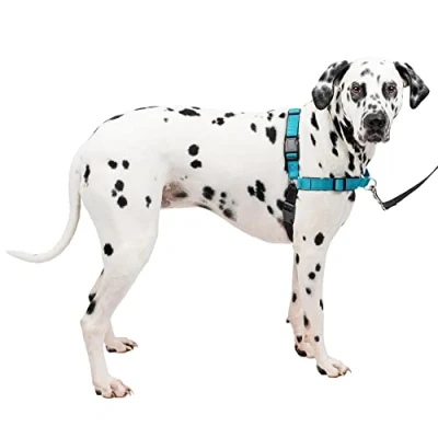 Image of PetSafe Easy Walk Deluxe Dog Harness, No Pull Harness Perfect for Leash &amp; Training Stops Pets from Pulling and Choking on Walks Large, Ocean