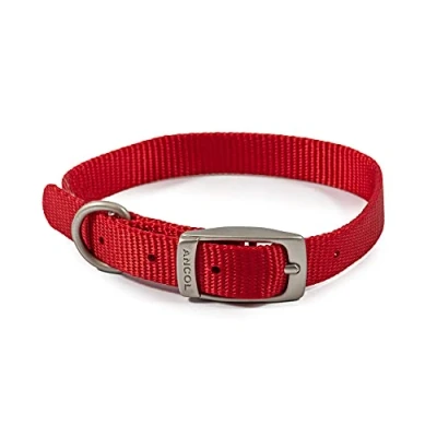 Image of Ancol Viva Lightweight Buckle Collar Red, Size 5 to fit 35 43cm , Weather Proof