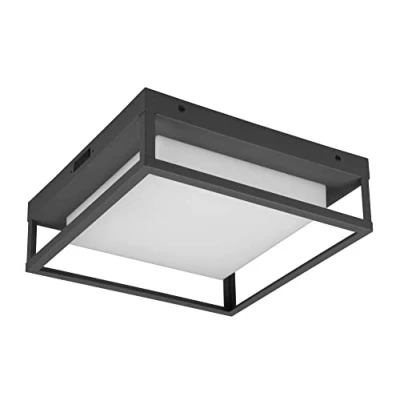 Image of Trio Lighting LED outdoor ceiling light Witham IP54, CCT, anthracite