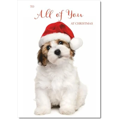 Image of doodlecards To All Of You Christmas Card Dog and Santa Hat Medium Size for with Plain Envelope