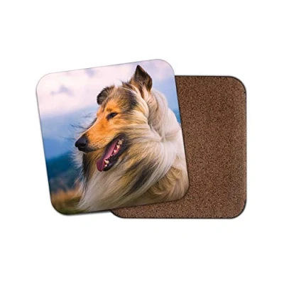 Image of 1 x Beautiful Rough Collie Drinks Coaster Sheep Dog Puppy Farm Fun #8615