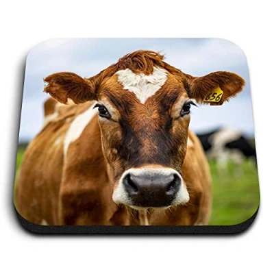 Image of 1 x Square MDF Fridge Magnet Jersey Cow Cattle 2100