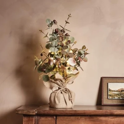 Image of Lights4fun Pre Lit Autumn Winter Twig Tree Tabletop Indoor Decoration 20 Warm White LEDs Battery Operated with Timer