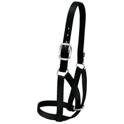 Image of Weaver Leather Livestock Cow Barn Halter Black, Large