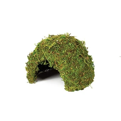 Image of Komodo Medium Natural Moss Cave for Reptiles M
