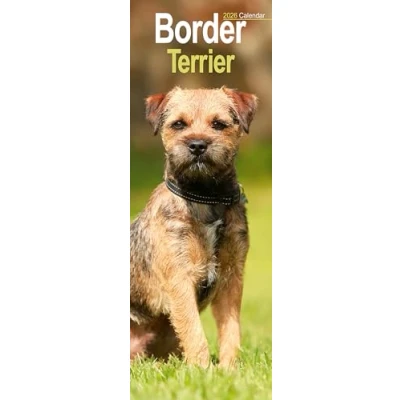 Image of Border Terrier Slim Calendar 2026