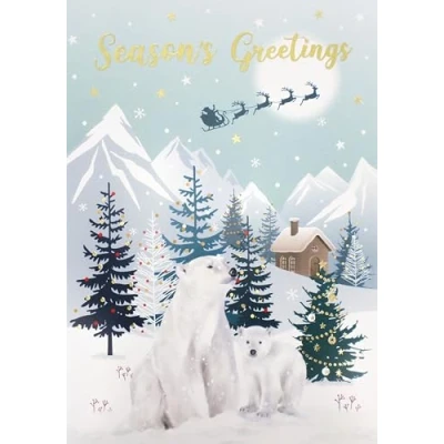 Image of Surprise 3D Pop Out Polar Bears Christmas Up Greeting Card XHH004S