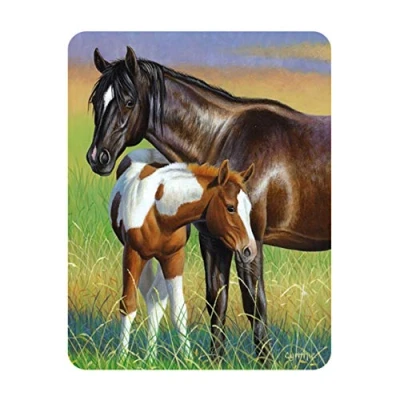 Image of 3D LiveLife Magnet Mare &amp; Foal from Deluxebase. Lenticular Horse Fridge Magnet. Magnetic decor for kids and adults with artwork licensed renowned artist, Cynthie Fisher