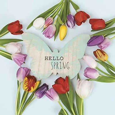 Image of DAISY 3 Ply Flowery Tissue Paper Napkins Serviettes for Decoupage Lunch 33cm x Pack of 20 (Hello Spring Tulips)