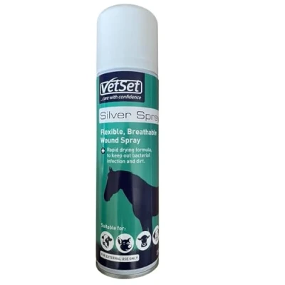 Image of ALUMINIUM SILVER SPRAY 9222, 250 ml Pack of 1