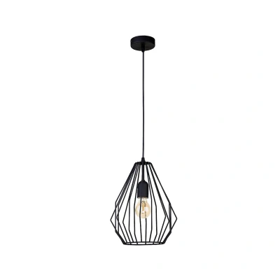 Image of Brilliant 23cm Wire Frame Pendant Ceiling Light Black 1xE27